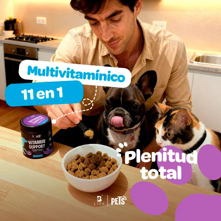 Vitamin Support Blife Pets
