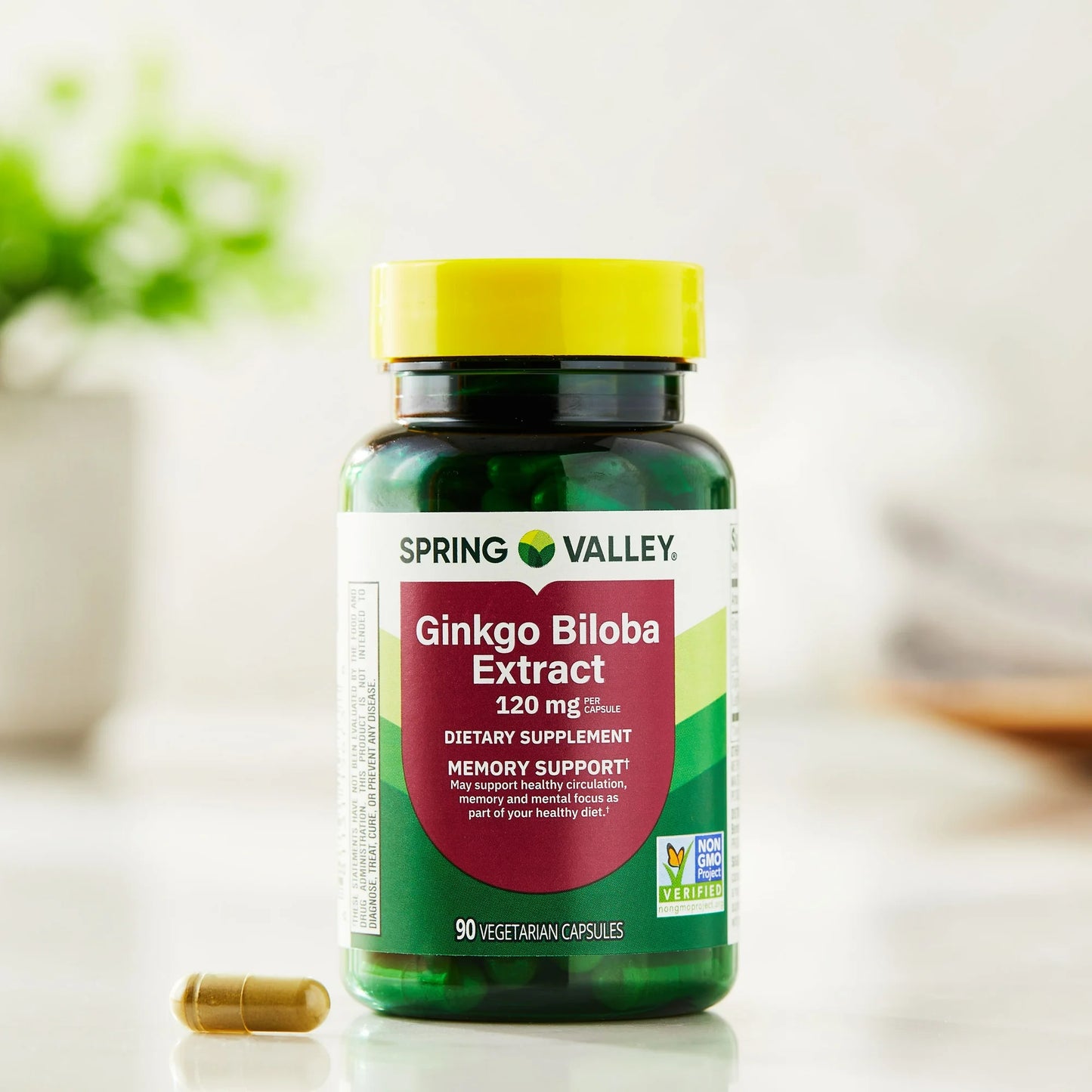 Ginkgo Biloba Extract 120 Mg 90 Capsulas