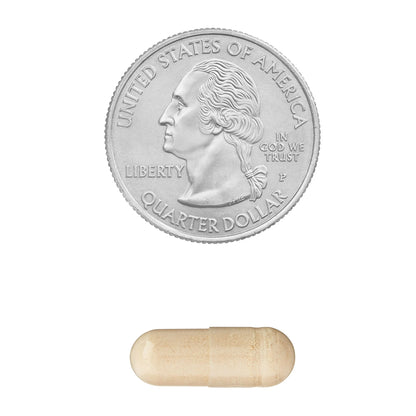 Koren Panax Ginseng 100mg 60 capsulas