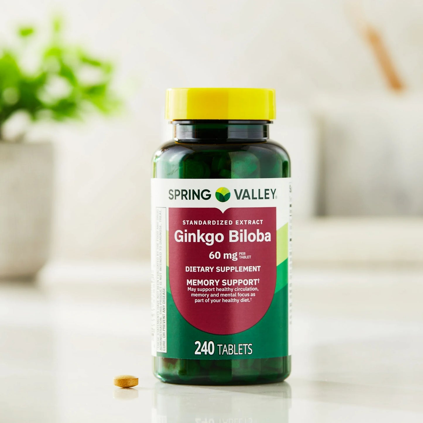 Ginkgo Biloba 60mg 240 tabletas