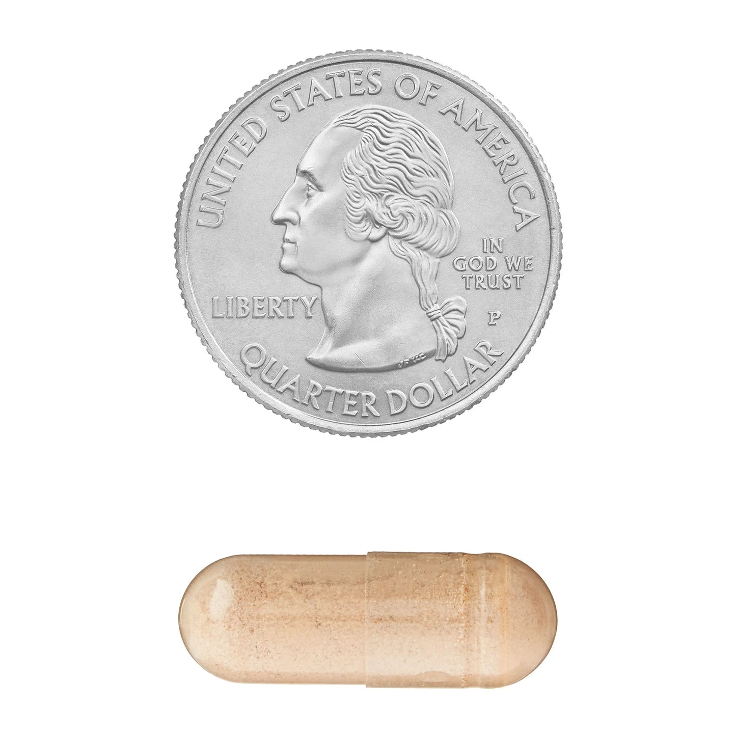 Ceylon Cinnamon 1,200mg 120 capsulas