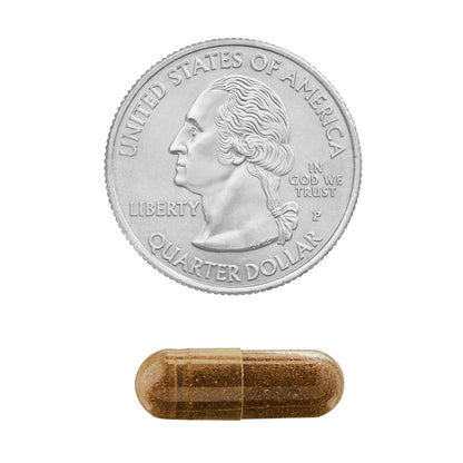 Shilajit 500mg 60 Capsulas