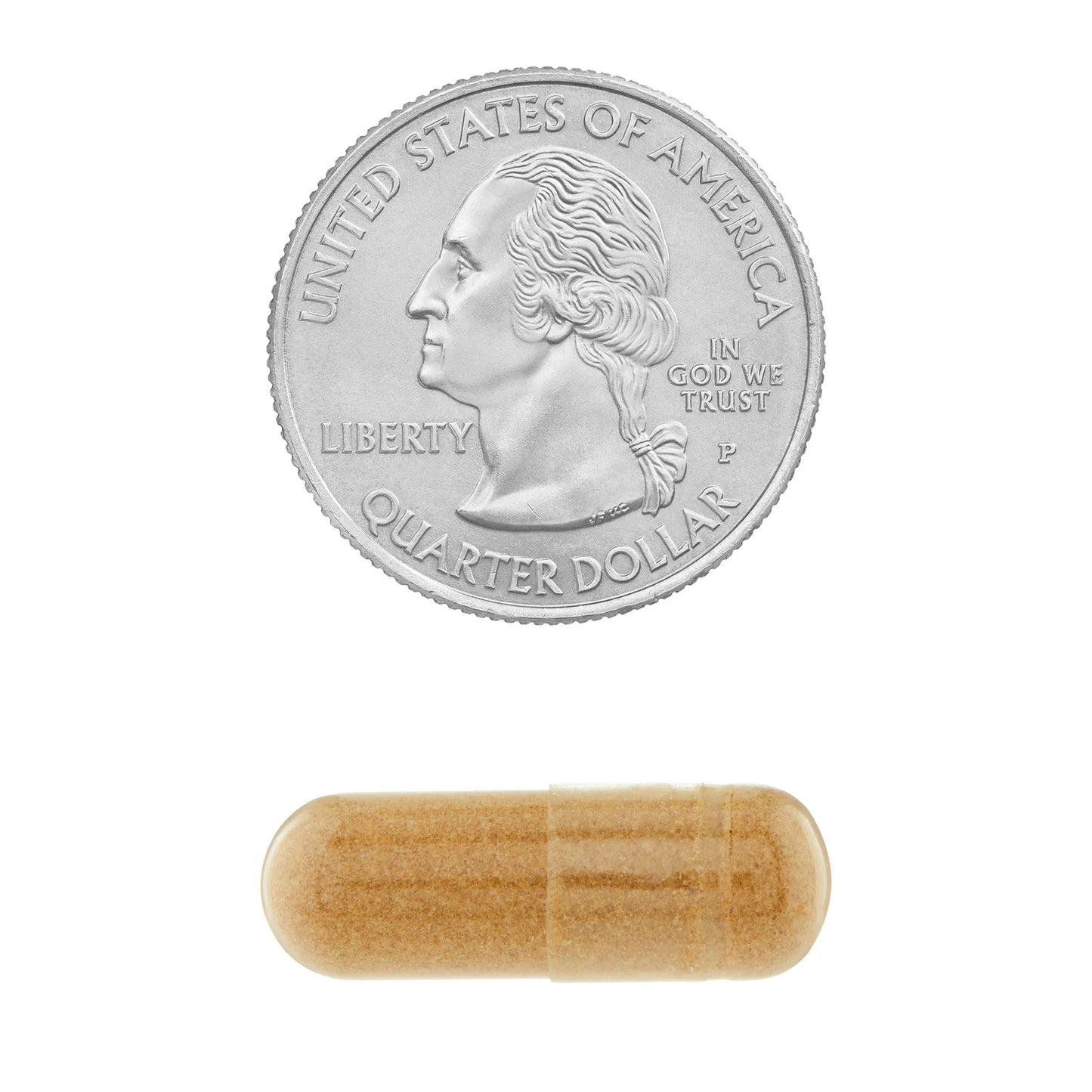 Mushroom Complex 6,200mg 30 capsulas