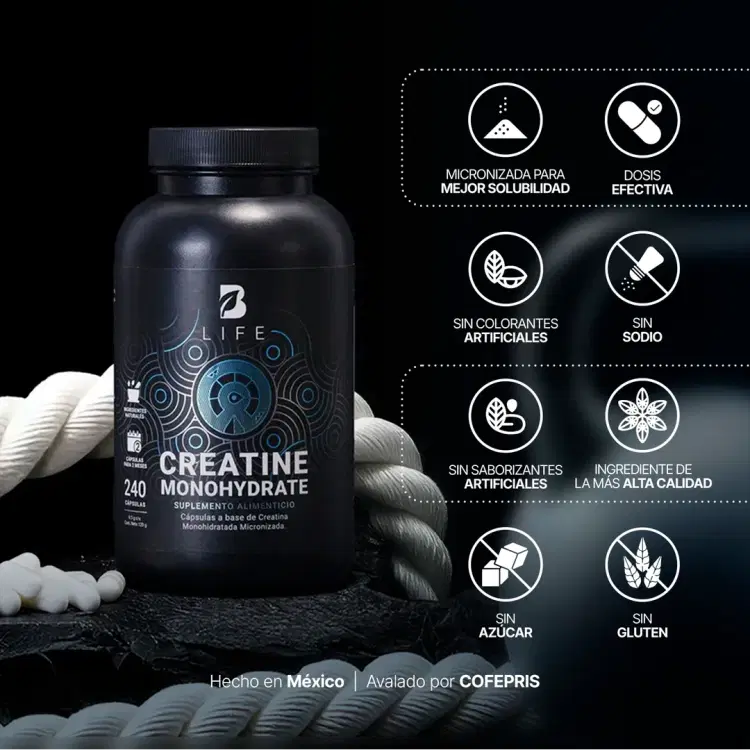 Creatina Monohidratada 240 Cápsulas
