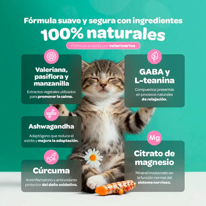 Relax & Calm Blife Pets