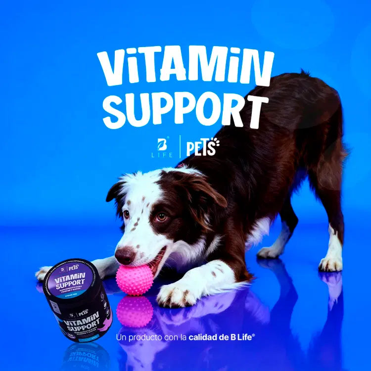 Vitamin Support Blife Pets