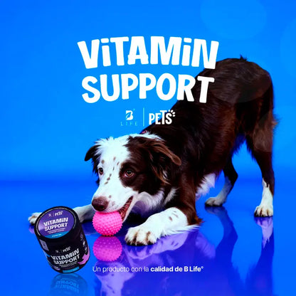 Vitamin Support Blife Pets