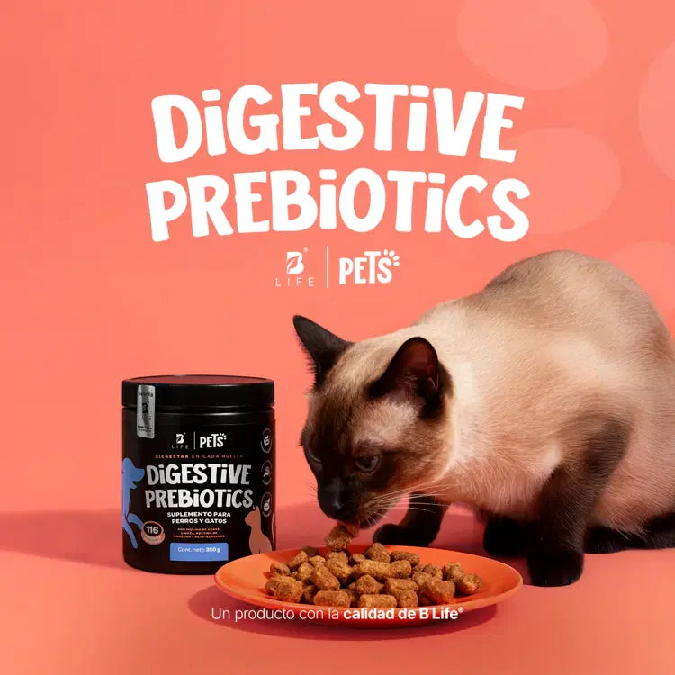 Digestive Probiotics Blife Pets