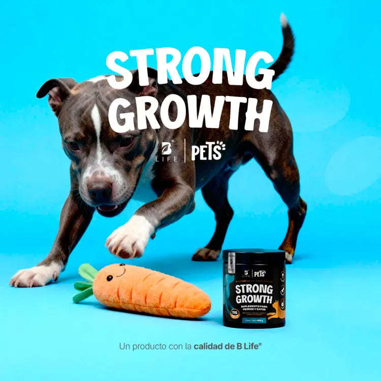 Strong Growth Blife Pets