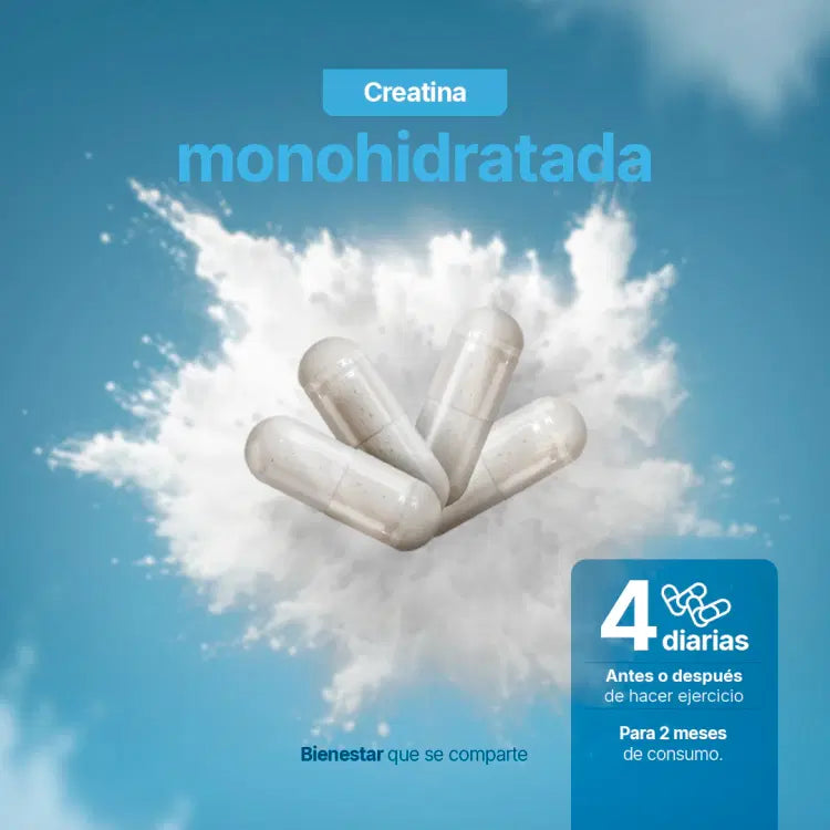 Creatina Monohidratada 240 Cápsulas