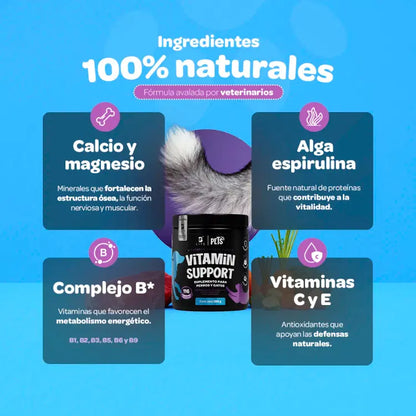 Vitamin Support Blife Pets