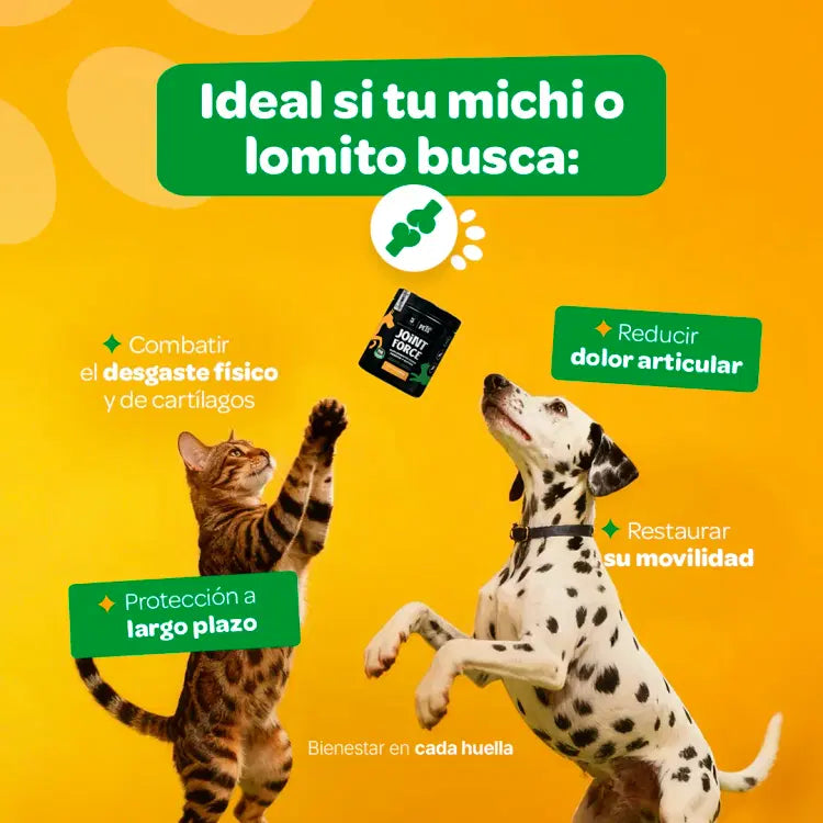 Joint Force Blife Pets