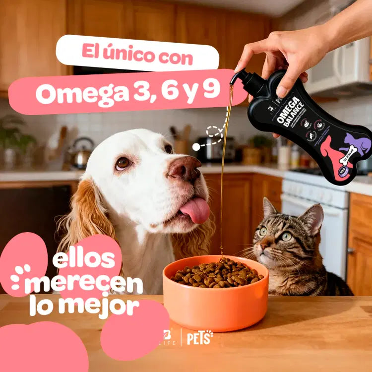 Omega Balance Blife Pets
