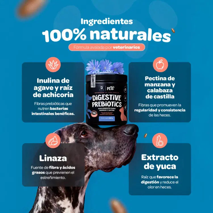 Digestive Probiotics Blife Pets