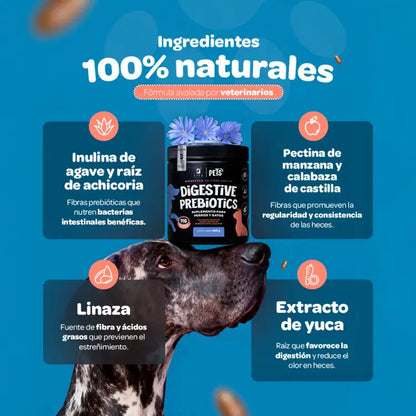 Digestive Probiotics Blife Pets