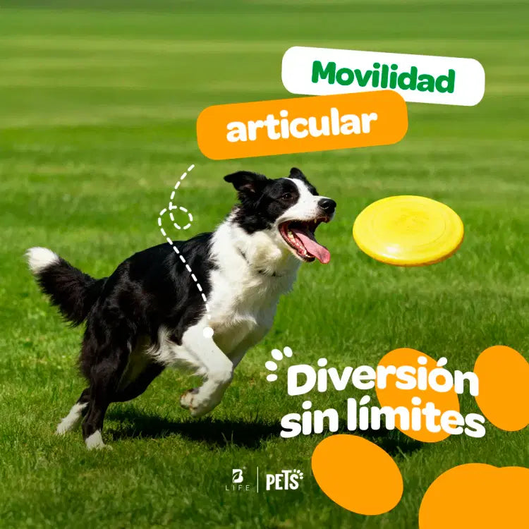 Joint Force Blife Pets