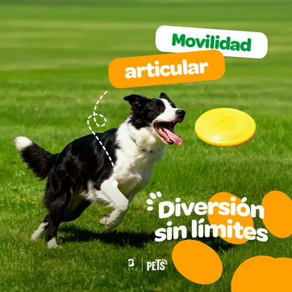 Joint Force Blife Pets